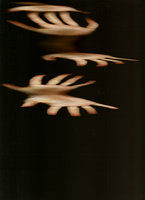 SCAN0049.jpg