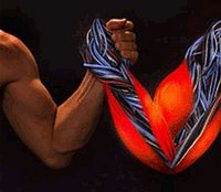 methanol-fueled-artificial-muscles_18.jpg