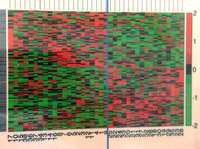 IMG_2012.JPG (937.19 KiB) Viewed 61641 times IMG_2012.JPG