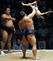 sumo.jpg