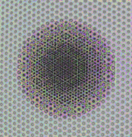 mesh4.gif