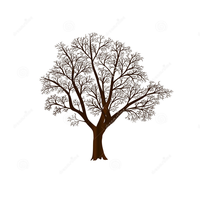 tree2.png