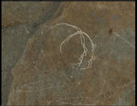 profile.png