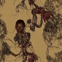 Wangechi Mutu, a pregnant woman, a robot home, pollens, animations from the early 1900s_02.jpeg