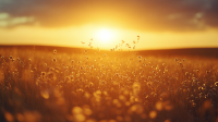 ucsbmat255_kummatti_telephoto_longshot_in_grassy_midwest_plain__a5081f74-4396-419c-b045-3745499b7294.png