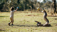 ucsbmat255_an_adult_throwing_a_ball_to_a_child_while_a_snake__edc89760-6f50-4fbf-934f-e2e13c1bcc0a_0.png