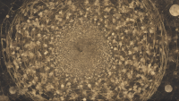 00025-1317934196.png