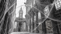 jiajiandesign_This_web_of_time_-_the_strands_of_which_approac_8106eaf8-0b11-4d35-93d6-aa840fe7e350_3.png
