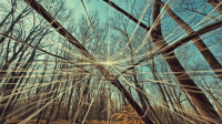 jiajiandesign_This_web_of_time_-_the_strands_of_which_approac_8106eaf8-0b11-4d35-93d6-aa840fe7e350_1.png