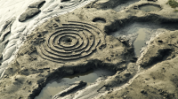 jiajiandesign_I_imagined_it_untouched_and_perfect_on_the_secr_0ca55727-5f77-4dcc-8120-bc7793a31646_2.png