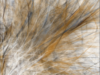 Screenshot 2025-11-13 at 7.02.10 AM.png