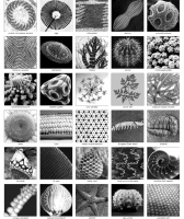 Screenshot 2025-11-15 at 1.18.26 PM.png