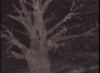 Screenshot 2025-11-18 at 7.33.48 PM.png