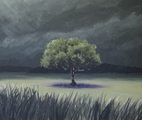 TreeOriginal.jpg