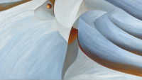 job_fe5fdab69c4c465daa12.png
