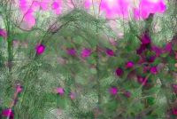 StyleTransfer_00016_.png