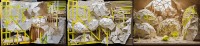 step1-test2-2.jpg