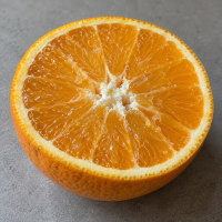 exec-8d9c585e-6f9e-4298-9368-2d8061405ddb.png